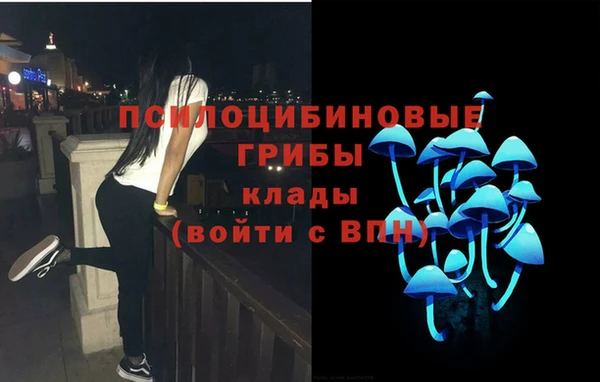 spice Алзамай