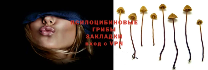 spice Алзамай