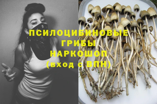 винт Алексин