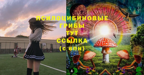 spice Алзамай