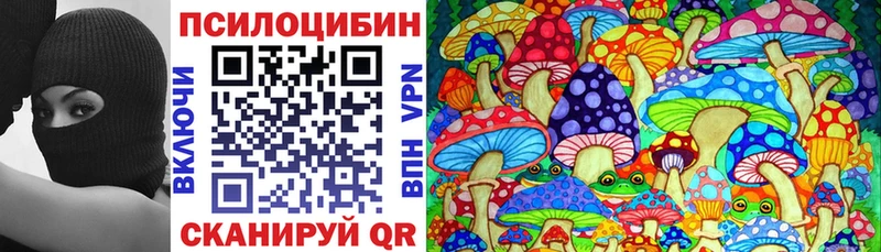 Купить где  Тогучин  Псилоцибиновые грибы Magic Shrooms 